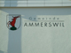 Ammerswil_klein