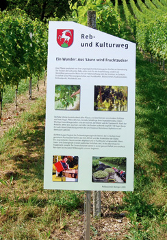 Tafel-Rebweg-neu Tafel-Rebweg-neu